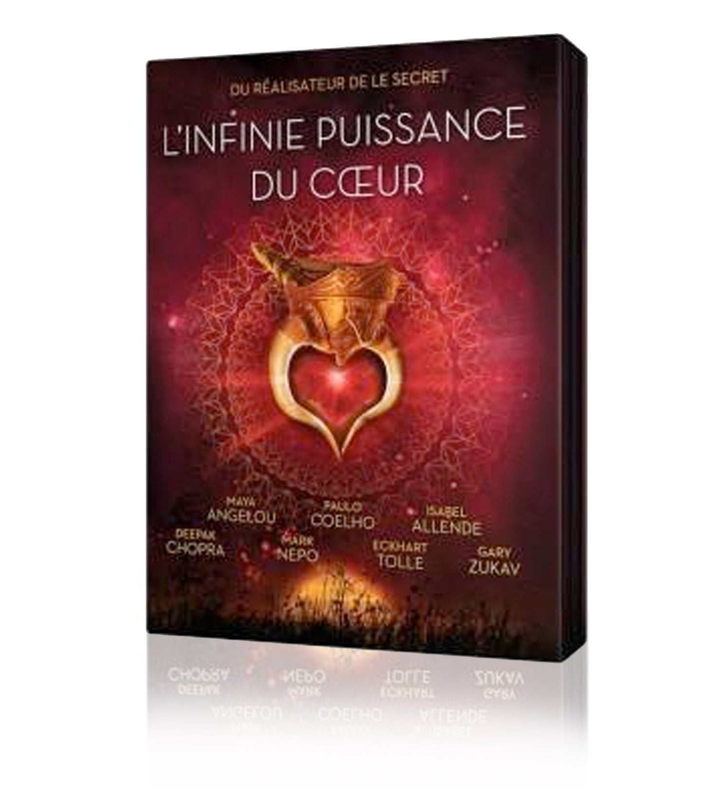 DVD L'Infinie Puissance du Coeur