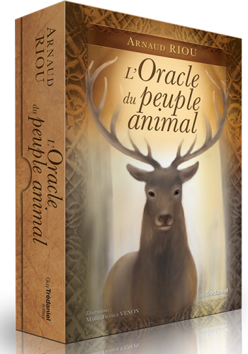 Pack Cahier Défi 100 Jours MAGIE + L'Oracle du peuple animal + Cartes Défi des 100 Jours