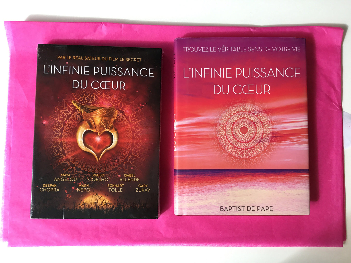 DVD L'Infinie Puissance du Coeur