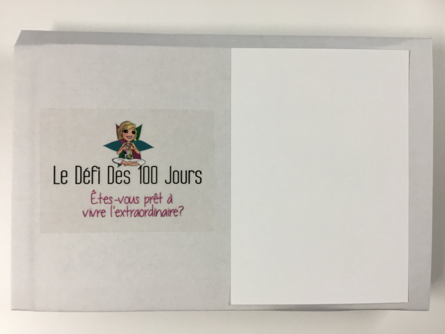 Cahier d'exercices du défi des 100 jours POUR UNE VIE EXTRAORDINAIRE V1 (édition 2015)